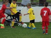 U7 U8 Turnier 13052017 (19)